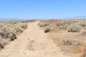 MLS #SR25156804 image #1