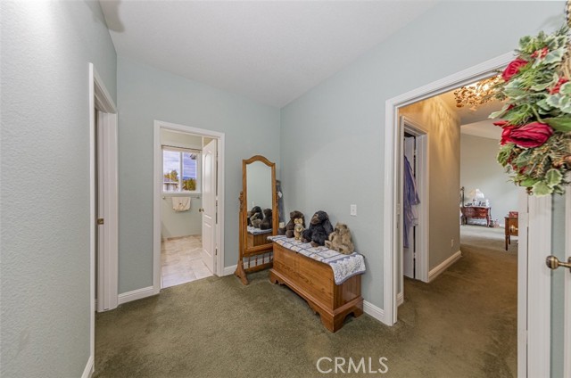 Detail Gallery Image 27 of 69 For 41313 Singing Hills Cir, Ahwahnee,  CA 93601 - 3 Beds | 2/1 Baths