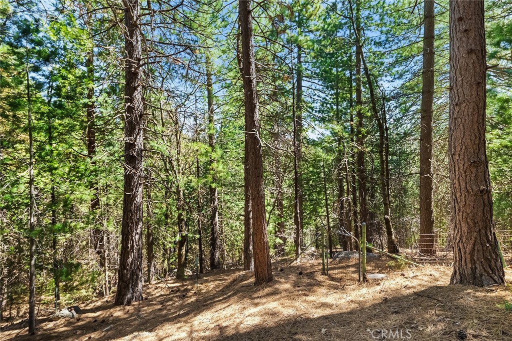 https://media.crmls.org/medias/b29bcdc2-58f4-4857-810e-440c9cf6a189.jpg?preset=X-Large
