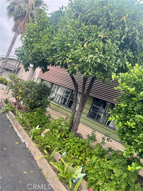 Front Image Thumbnail for CRRS25272028