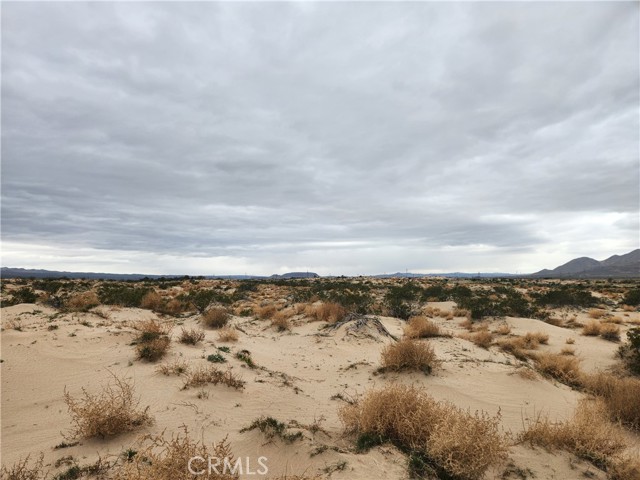 Detail Gallery Image 2 of 4 For 40 Ac on Yearling Rd, Newberry Springs,  CA 92356 - – Beds | – Baths