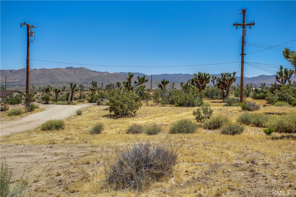 MLS #JT25238797 image #37