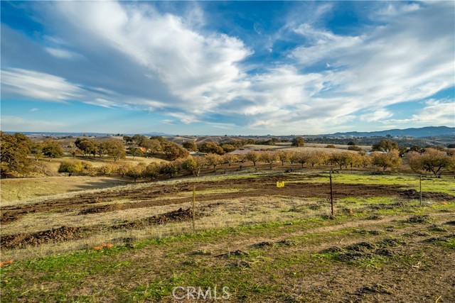 Detail Gallery Image 19 of 64 For 7245 Nonpariel Rd, Paso Robles,  CA 93446 - 3 Beds | 2 Baths