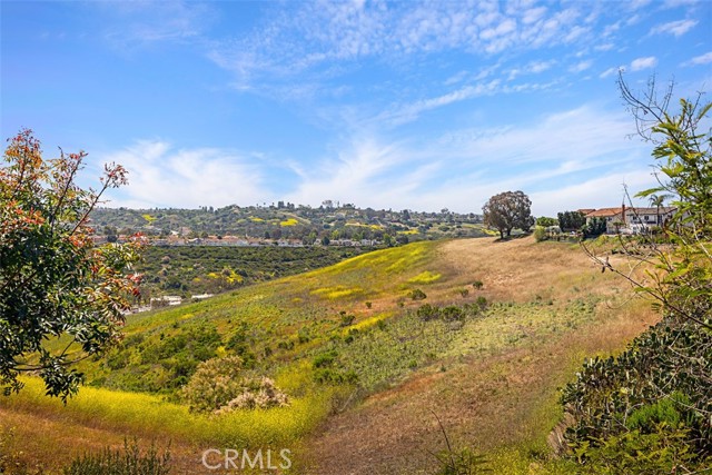 Detail Gallery Image 40 of 60 For 24132 Snipe Ln, Laguna Niguel,  CA 92677 - 4 Beds | 3 Baths