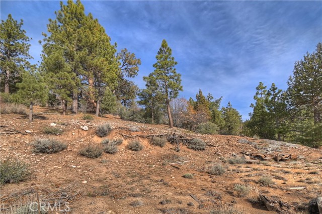 Detail Gallery Image 16 of 24 For 1115 Fawnskin Dr, Fawnskin,  CA 92333 - – Beds | – Baths