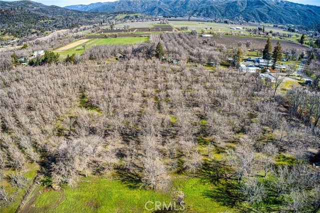 10010 Elk Mountain Road, Upper Lake/ Upper Lake Valley, California 95485, ,Land,For Sale,10010 Elk Mountain Road,CRLC23044793