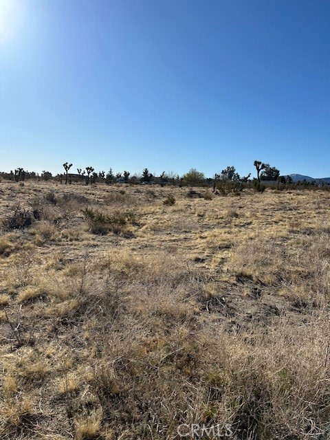 0 La Mesa Road, Phelan CA: https://media.crmls.org/medias/b2cf2db3-3f66-4b0a-b622-bc070316ae49.jpg
