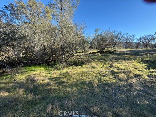 Detail Gallery Image 10 of 25 For 0 Long Hollow Lot 1631, Coarsegold,  CA 93614 - – Beds | – Baths