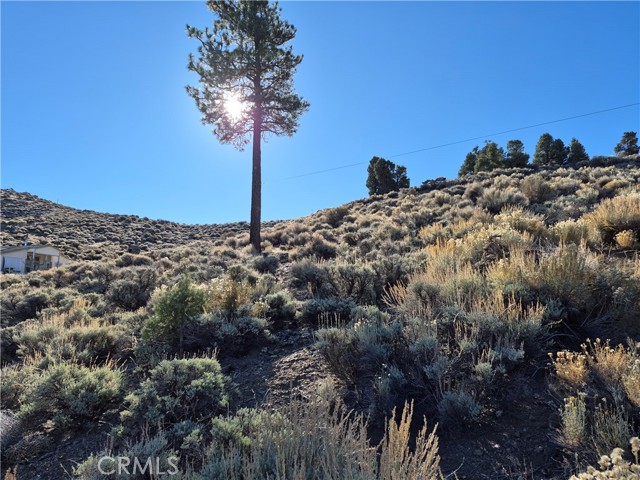 Detail Gallery Image 11 of 11 For 0 Rustic Canyon, Big Bear City,  CA 92314 - – Beds | – Baths