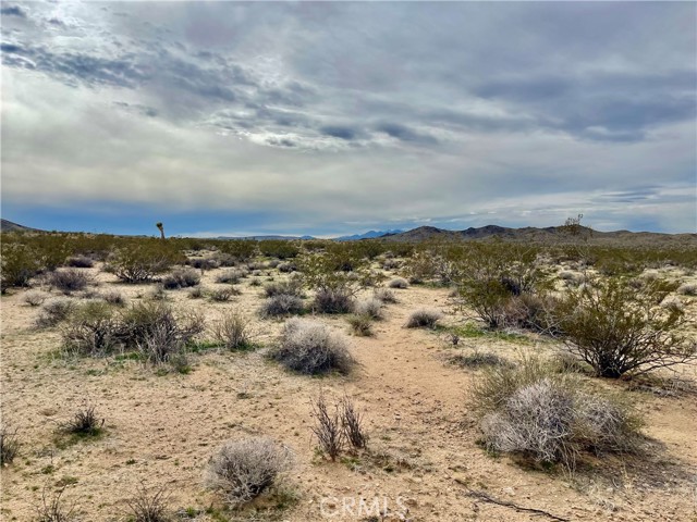 Detail Gallery Image 12 of 12 For 0 Willies Way, Joshua Tree,  CA 92285 - – Beds | – Baths