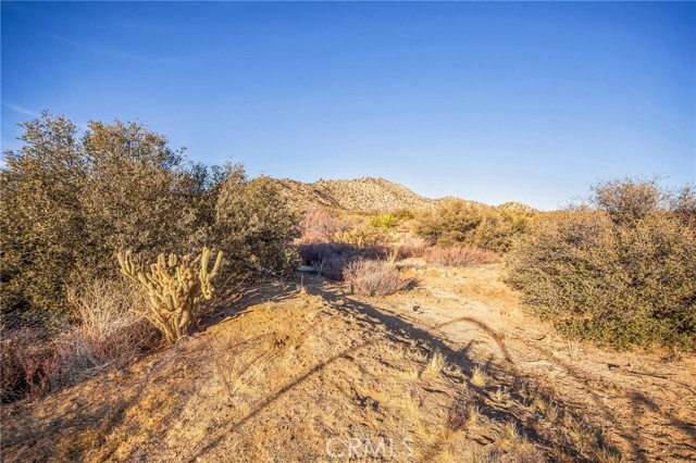 Detail Gallery Image 27 of 30 For 68720 Alpine Dr, Mountain Center,  CA 92561 - 3 Beds | 2 Baths