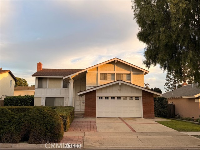 Front Image Thumbnail for CROC26022808