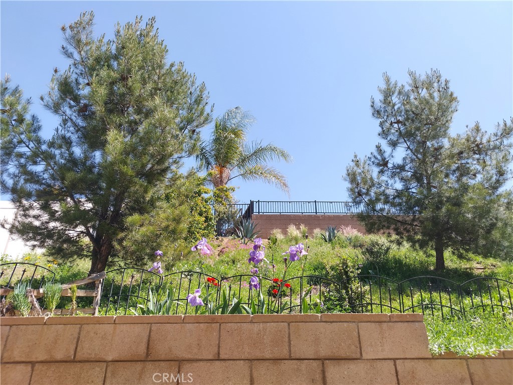 https://media.crmls.org/medias/b2dd5251-01b7-4427-bc79-bb1c26271c69.jpg?preset=X-Large
