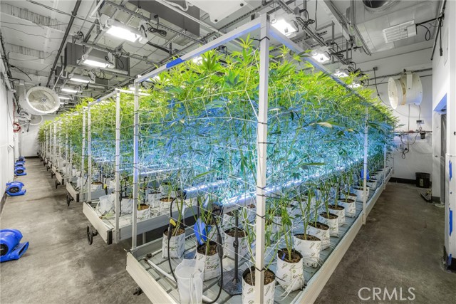 Image 29 of 54 For 44211 Yucca