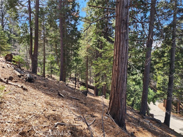 Detail Gallery Image 15 of 24 For 586 Rose, Twin Peaks,  CA 92391 - – Beds | – Baths