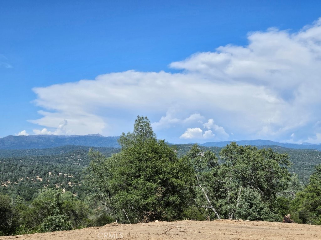 https://media.crmls.org/medias/b2f97ab7-426b-4842-93f7-585531a1e86b.jpg?preset=X-Large