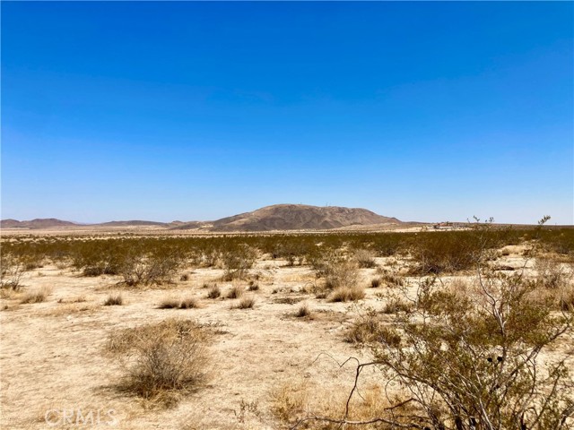 Image 3 for 5 Acres northeast of Hwy 62 and Sunfair Rd, Joshua Tree, CA 92252