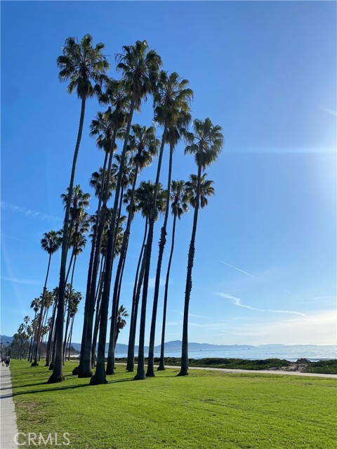 242 San Rafael Avenue, Santa Barbara CA: https://media.crmls.org/medias/b2fc37bc-4749-42ef-b35a-f551cb9d9496.jpg