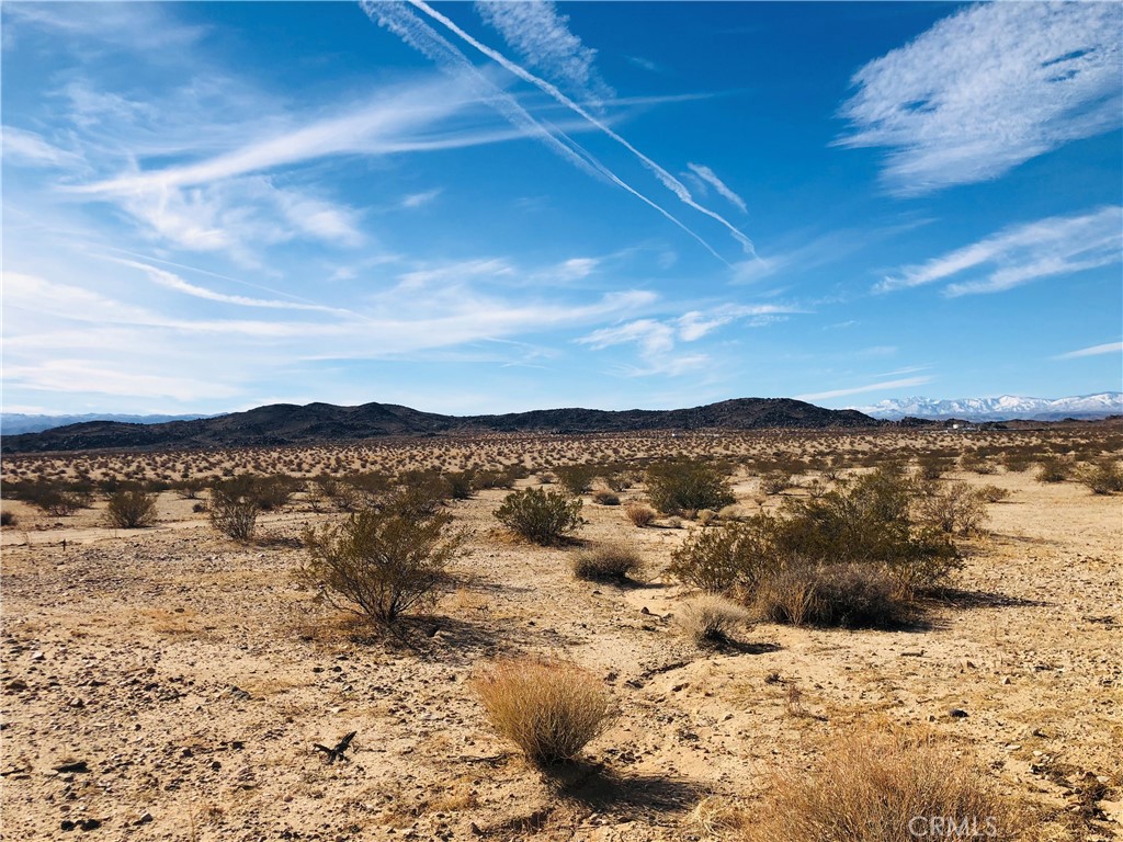 MLS #JT25151667 image #3