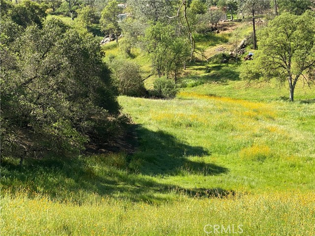 Detail Gallery Image 3 of 8 For 17 Titan Way Way, Coarsegold,  CA 93614 - – Beds | – Baths