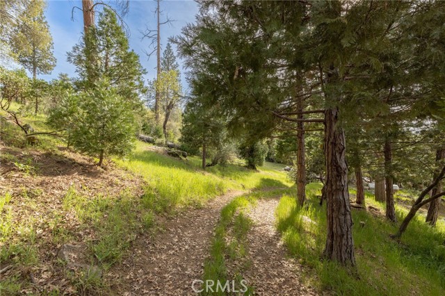 Detail Gallery Image 55 of 59 For 36919 Deer Path Cir, Coarsegold,  CA 93614 - 3 Beds | 2 Baths