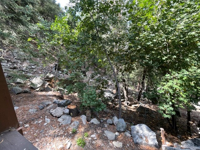 9592 Snowdrift Drive, Forest Falls, CA, 92339 9592 Snowdrift Drive, Forest Falls, CA, 92339