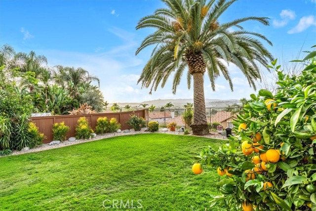 Detail Gallery Image 32 of 54 For 28355 via Alfonse, Laguna Niguel,  CA 92677 - 3 Beds | 2/1 Baths