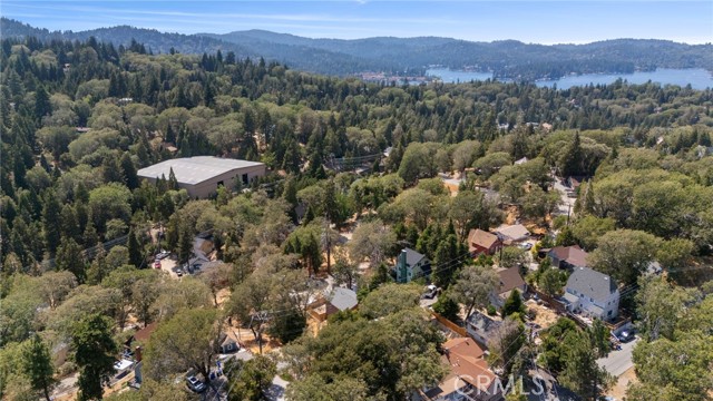 29251 Lake Brook Avenue, Cedar Glen CA: https://media.crmls.org/medias/b31a8174-d317-4525-ae76-e74b9c5e78ee.jpg