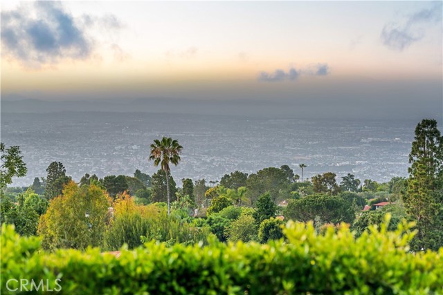 2228 Via Cerritos, Palos Verdes Estates, California 90274, 7 Bedrooms Bedrooms, 0 ,11 BathroomsBathrooms,Residential,For Sale,Via Cerritos,0,OC26051861 2228 Via Cerritos, Palos Verdes Estates, California 90274, 7 Bedrooms Bedrooms, 0 ,11 BathroomsBathrooms,Residential,For Sale,Via Cerritos,0,OC26051861