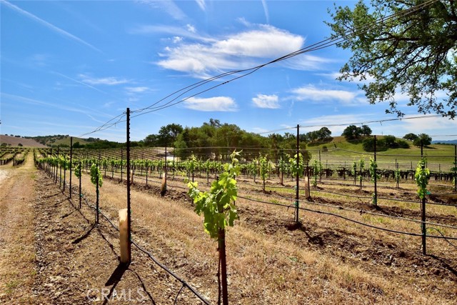 53600 Bradley Lockwood Road, Lockwood CA: https://media.crmls.org/medias/b32763d1-493e-4a39-9728-1ccc12d52499.jpg