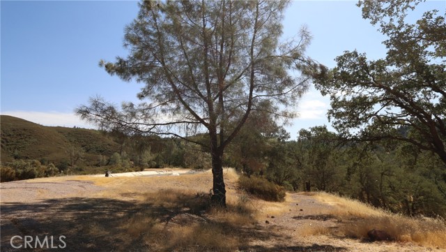Image 5 of 32 For 8340 Sulphur Creek Road