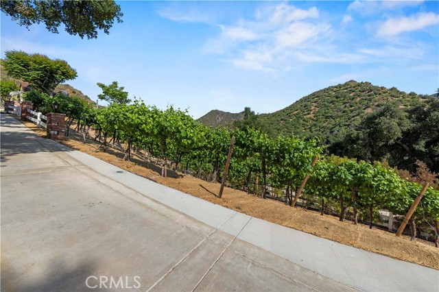 25730 Sand Canyon Road, Canyon Country CA: https://media.crmls.org/medias/b32910da-7f66-4ebf-a596-de35bc981362.jpg