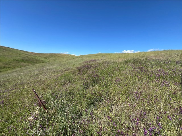 Detail Gallery Image 1 of 12 For 0 Unnamed Rd, Paso Robles,  CA 93446 - – Beds | – Baths