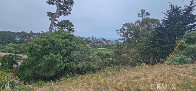 0 Croyden Lane, Cambria CA: https://media.crmls.org/medias/b330e199-3cb0-432b-a0d8-de1f68104ed9.jpg