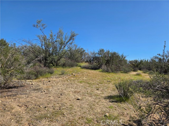 Detail Gallery Image 4 of 14 For 0 Pony Trail, Anza,  CA 92539 - – Beds | – Baths