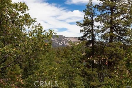 1186 Alameda Ct, Big Bear CA: https://media.crmls.org/medias/b3322b15-1539-4b77-99ef-d965ba4fb3ae.jpg