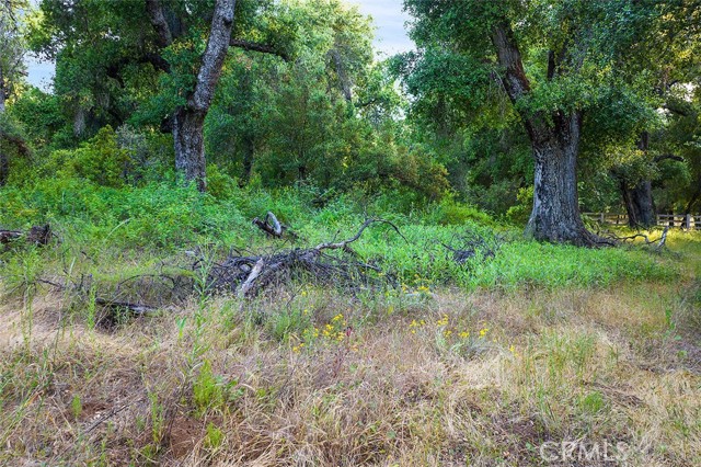 Detail Gallery Image 17 of 20 For 19 Hombre Ln, Murrieta,  CA 92562 - – Beds | – Baths