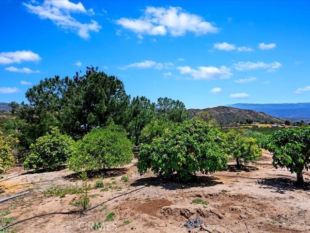 Detail Gallery Image 48 of 74 For 40410 Exa Ely Rd, Hemet,  CA 92544 - 4 Beds | 3 Baths