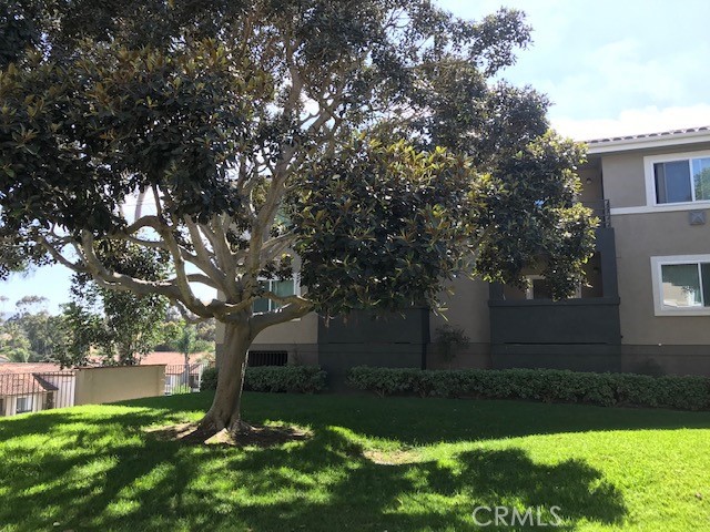 7405 Charmant Drive - photo 10