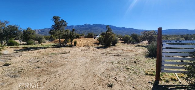 0 St. Moritz, Mountain Center, California 92561, ,Land,For Sale,0 St. Moritz,CREV24025187