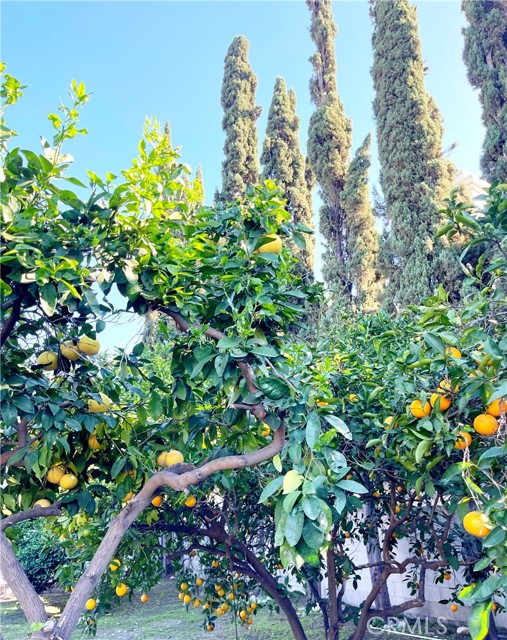 Detail Gallery Image 22 of 30 For 13842 Olive St, Baldwin Park,  CA 91706 - 4 Beds | 2 Baths