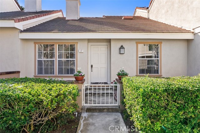 Front Image Thumbnail for CROC26013593