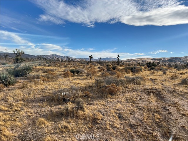 23926 Poppy Road, Apple Valley CA: https://media.crmls.org/medias/b34cde00-366a-48bc-971d-7bca364b5c71.jpg