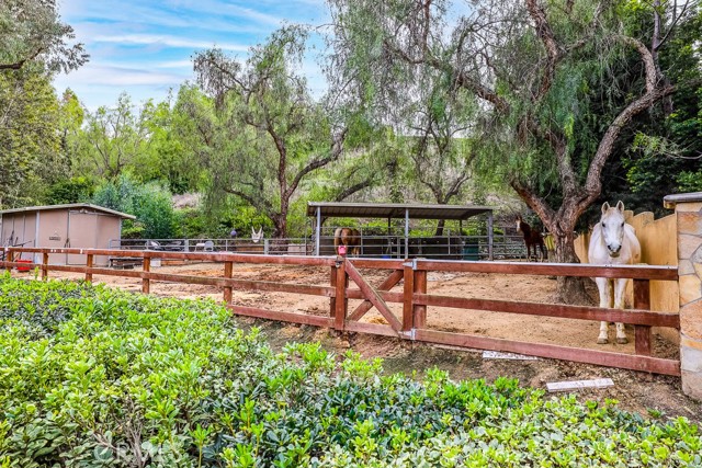 Detail Gallery Image 60 of 66 For 25852 Sheriff Rd, Laguna Hills,  CA 92653 - 4 Beds | 2/1 Baths