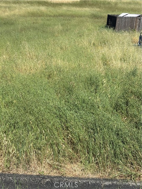 4813 Tumbleweed Way, Paso Robles CA: https://media.crmls.org/medias/b35108a8-1408-409e-ade5-a654b1c6df25.jpg