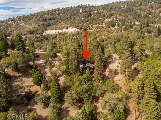 24 Fredalba, Running Springs, CA 92382