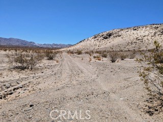 MLS #JT25222422 image #4