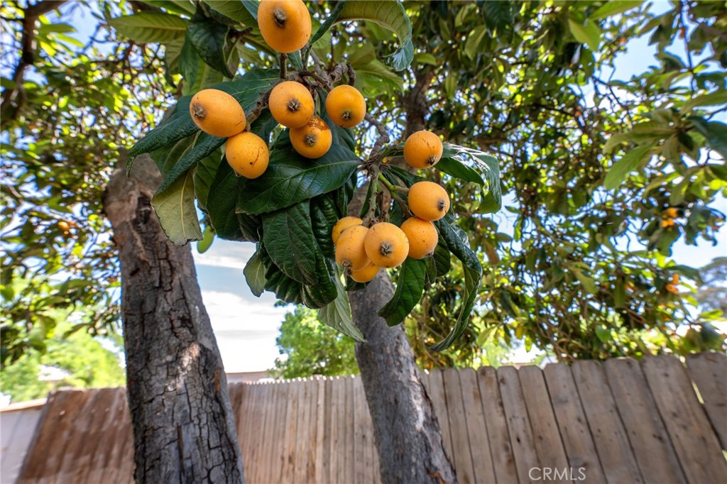 https://media.crmls.org/medias/b357715e-b45e-4850-8b64-0ec52280d44f.jpg?preset=X-Large
