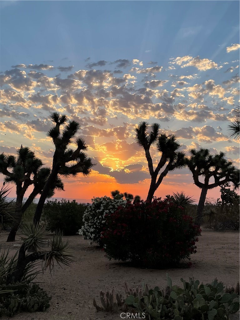 B357F0C0 Aade 4Aa6 97E1 842F4A625Eb8 59019 Pueblo Trail, Yucca Valley, Ca 92284 &Lt;Span Style='BackgroundColor:transparent;Padding:0Px;'&Gt; &Lt;Small&Gt; &Lt;I&Gt; &Lt;/I&Gt; &Lt;/Small&Gt;&Lt;/Span&Gt;