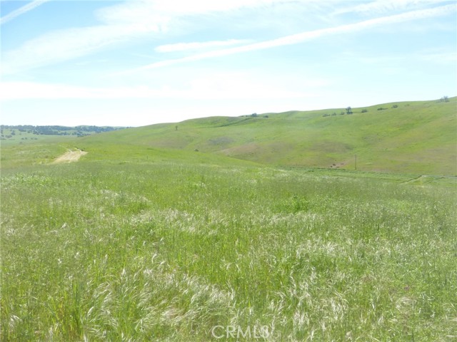 Detail Gallery Image 6 of 42 For 0 Douglas Rd. (Lot 42), San Miguel,  CA 93451 - – Beds | – Baths